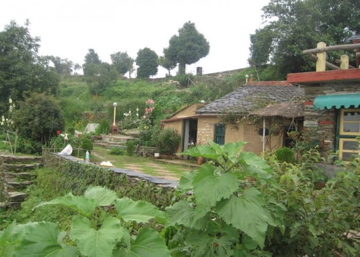 The Oak Trails Eco Lodge, Nainital 4